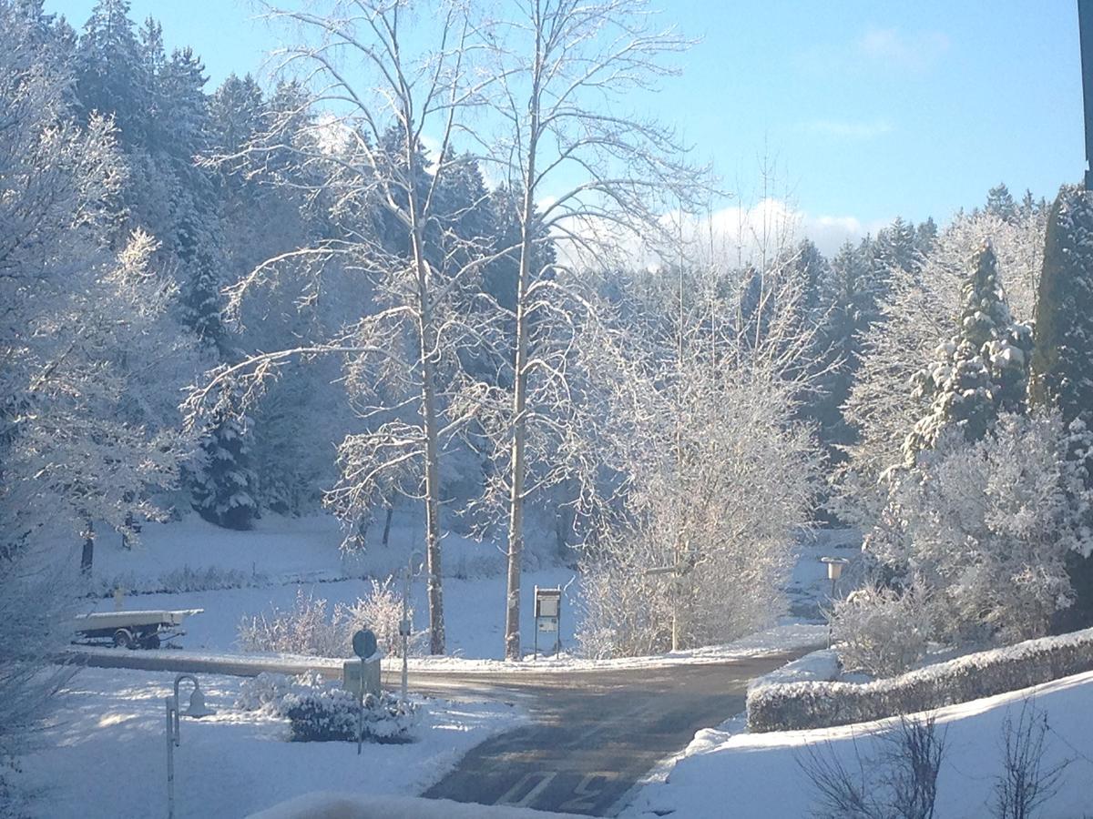 Waldsee Waldachtal